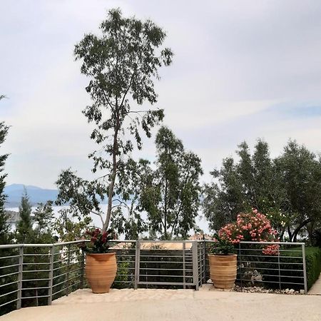 Stone House In Olive Grove Villa Tolón Exterior photo