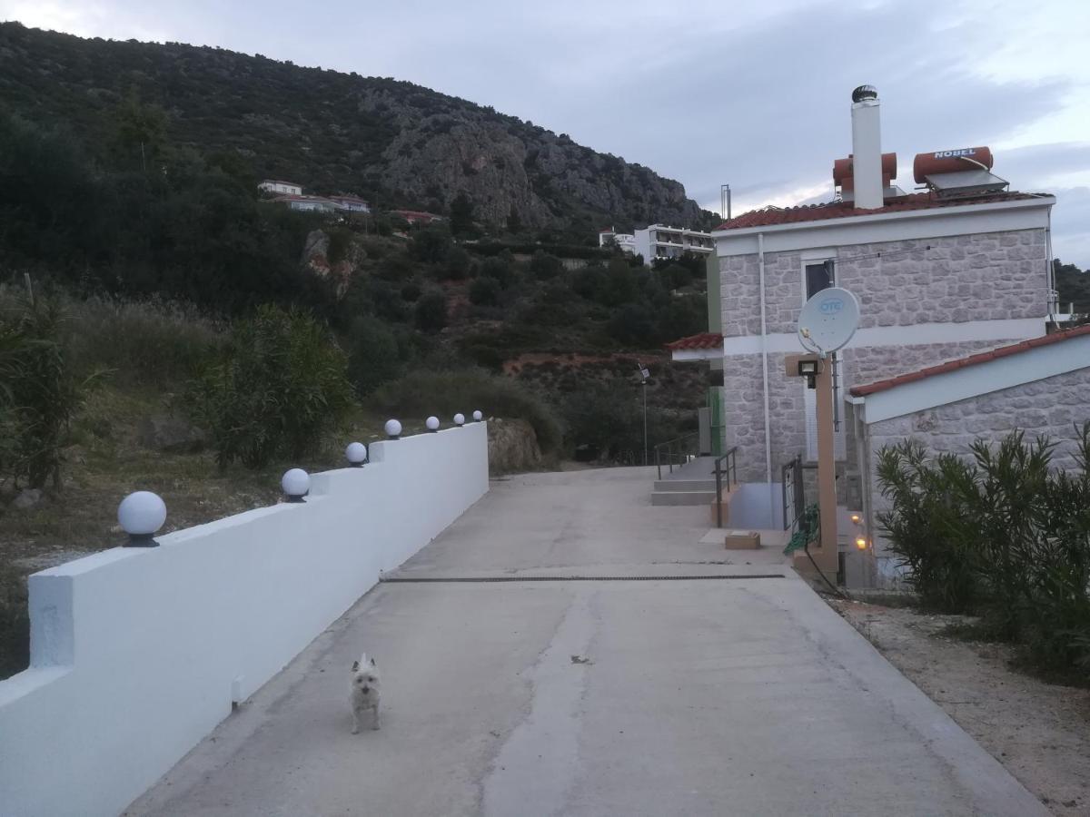 Stone House In Olive Grove Villa Tolón Exterior photo