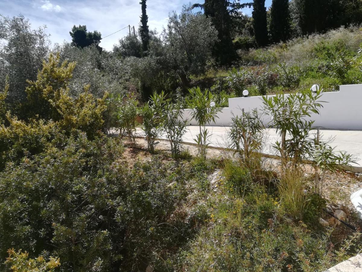 Stone House In Olive Grove Villa Tolón Exterior photo