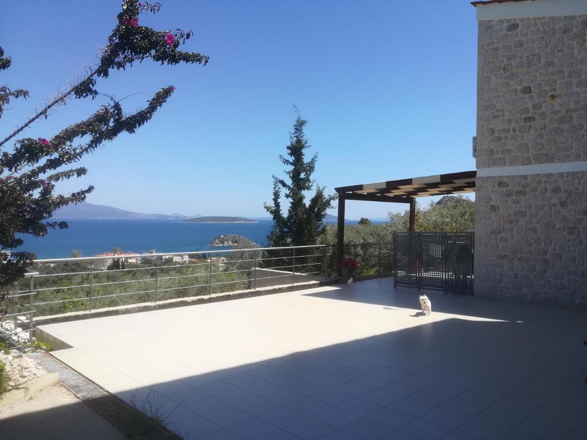Stone House In Olive Grove Villa Tolón Exterior photo