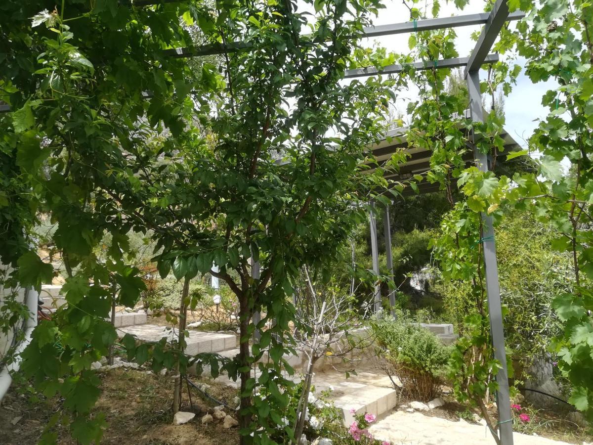 Stone House In Olive Grove Villa Tolón Exterior photo