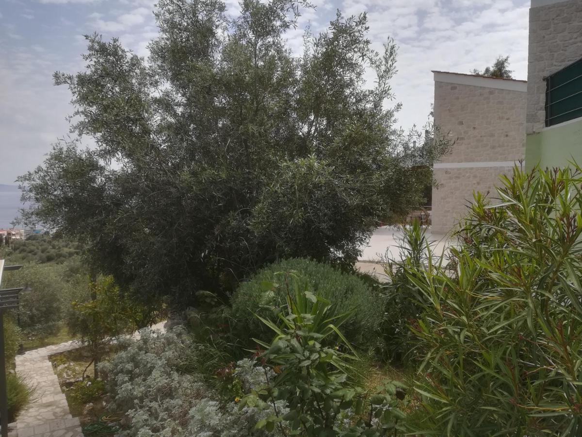 Stone House In Olive Grove Villa Tolón Exterior photo