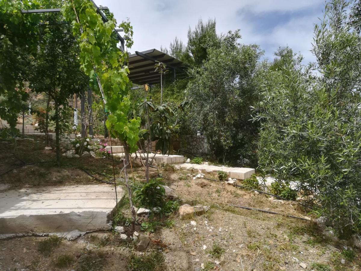 Stone House In Olive Grove Villa Tolón Exterior photo