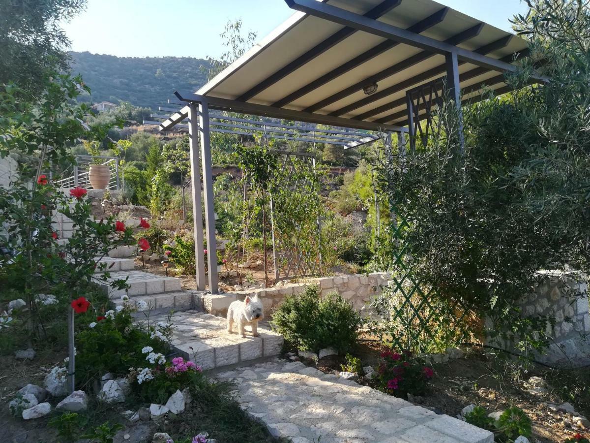 Stone House In Olive Grove Villa Tolón Exterior photo
