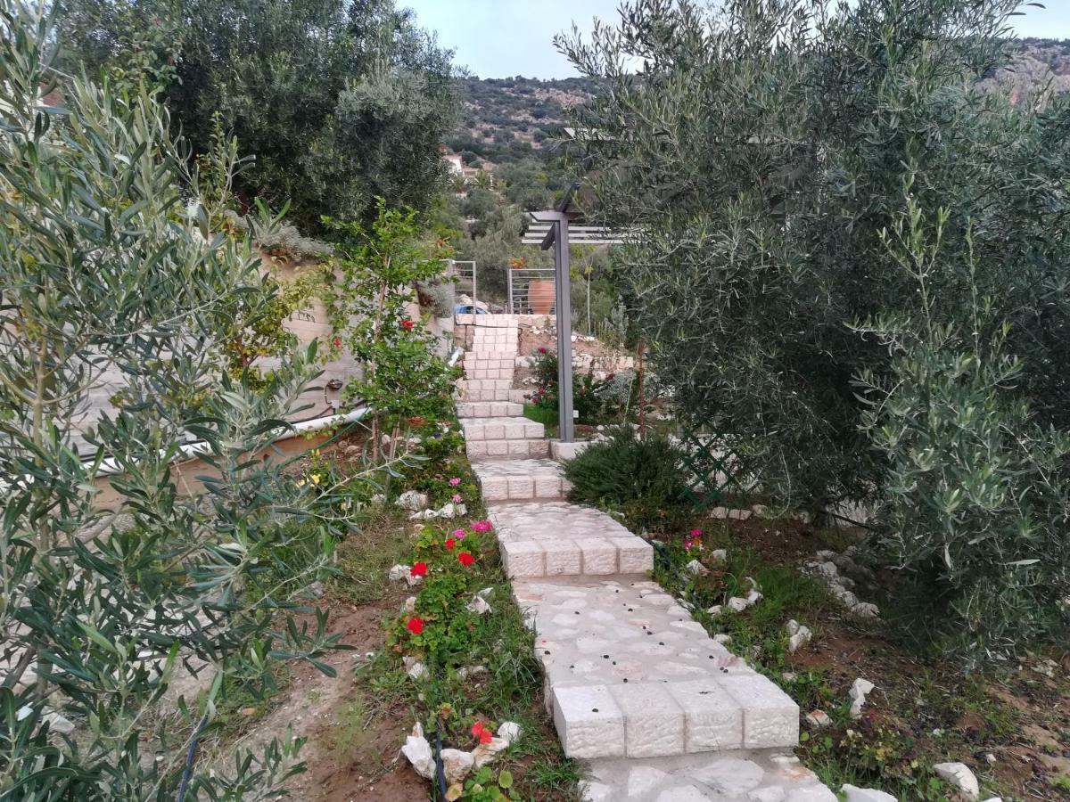 Stone House In Olive Grove Villa Tolón Exterior photo