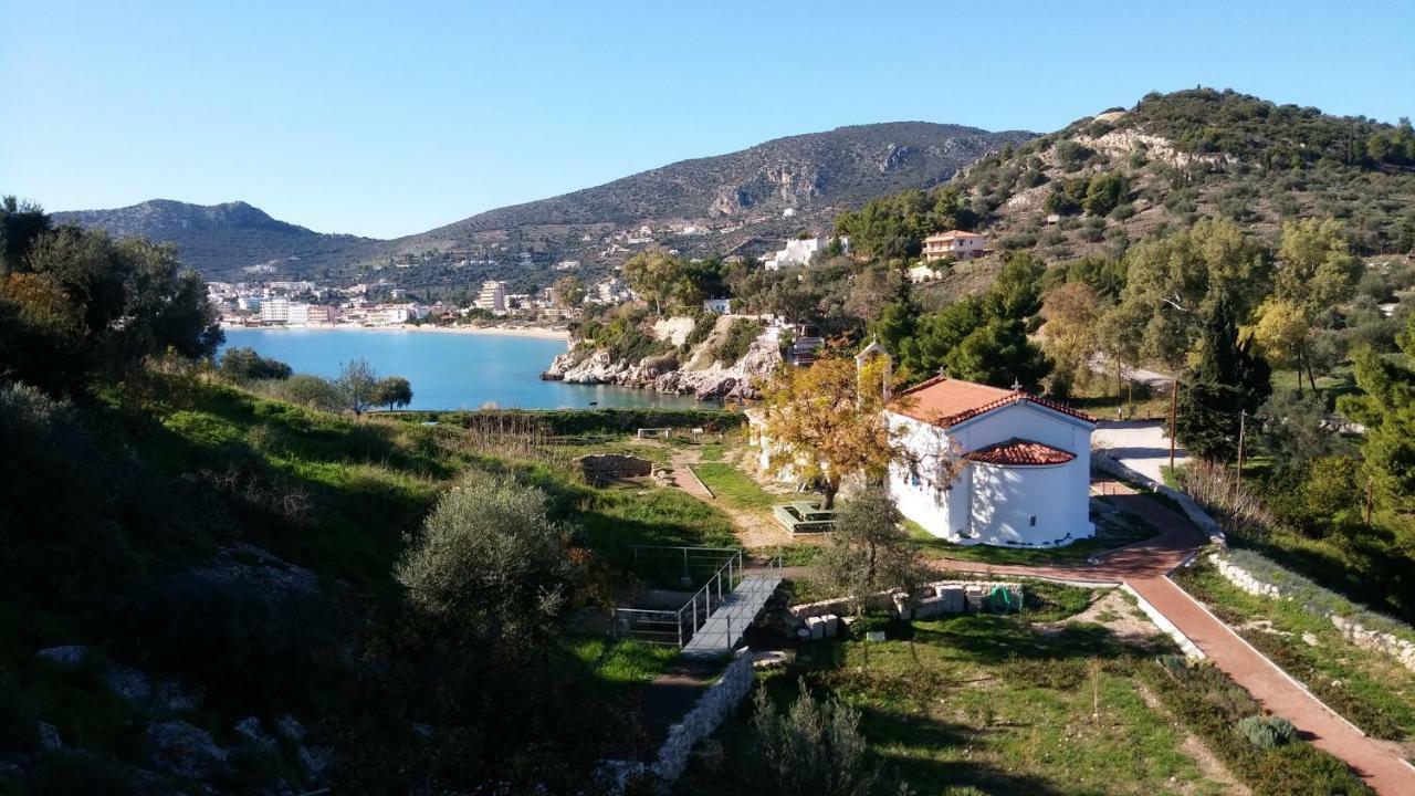 Stone House In Olive Grove Villa Tolón Exterior photo